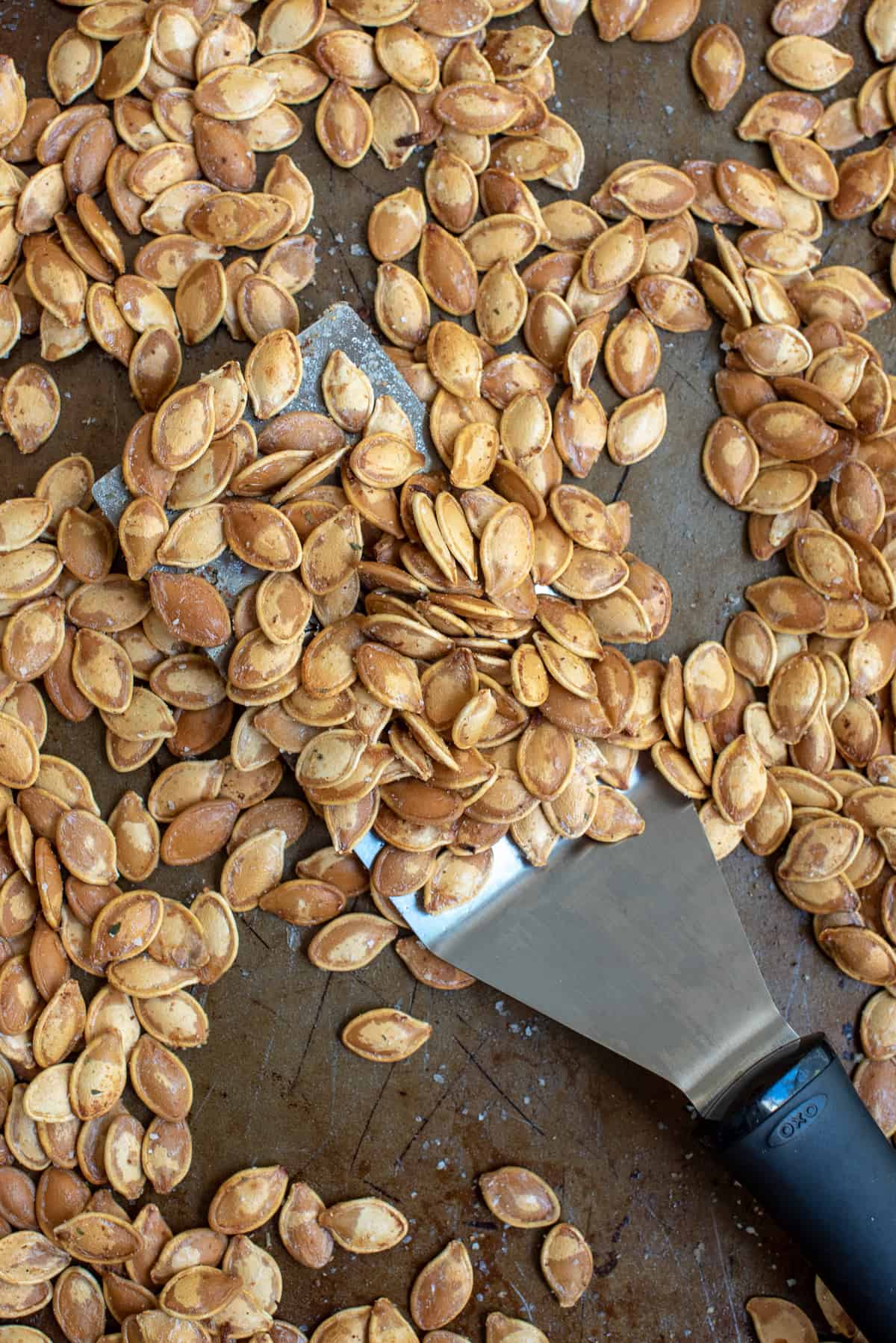 Roasted Pumpkin Seeds on a baking sheet with a spatula.