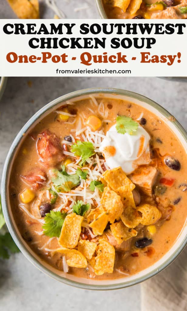 Instant pot southwest chicken soup hotsell