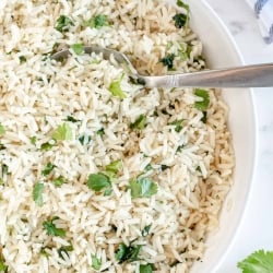 An over the top shot of a bowl of Cilantro Lime Rice with a spoon.