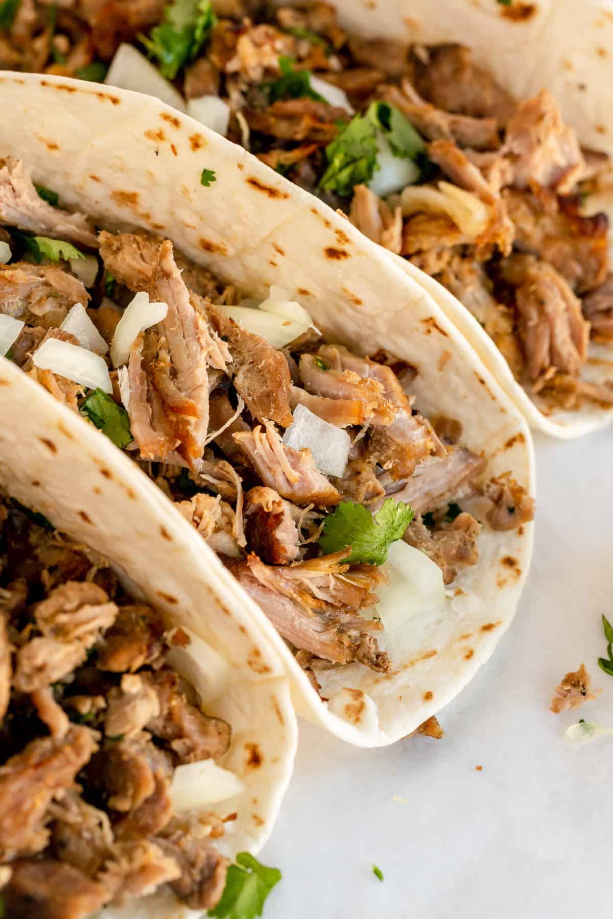 A closeup of three carnitas tacos.