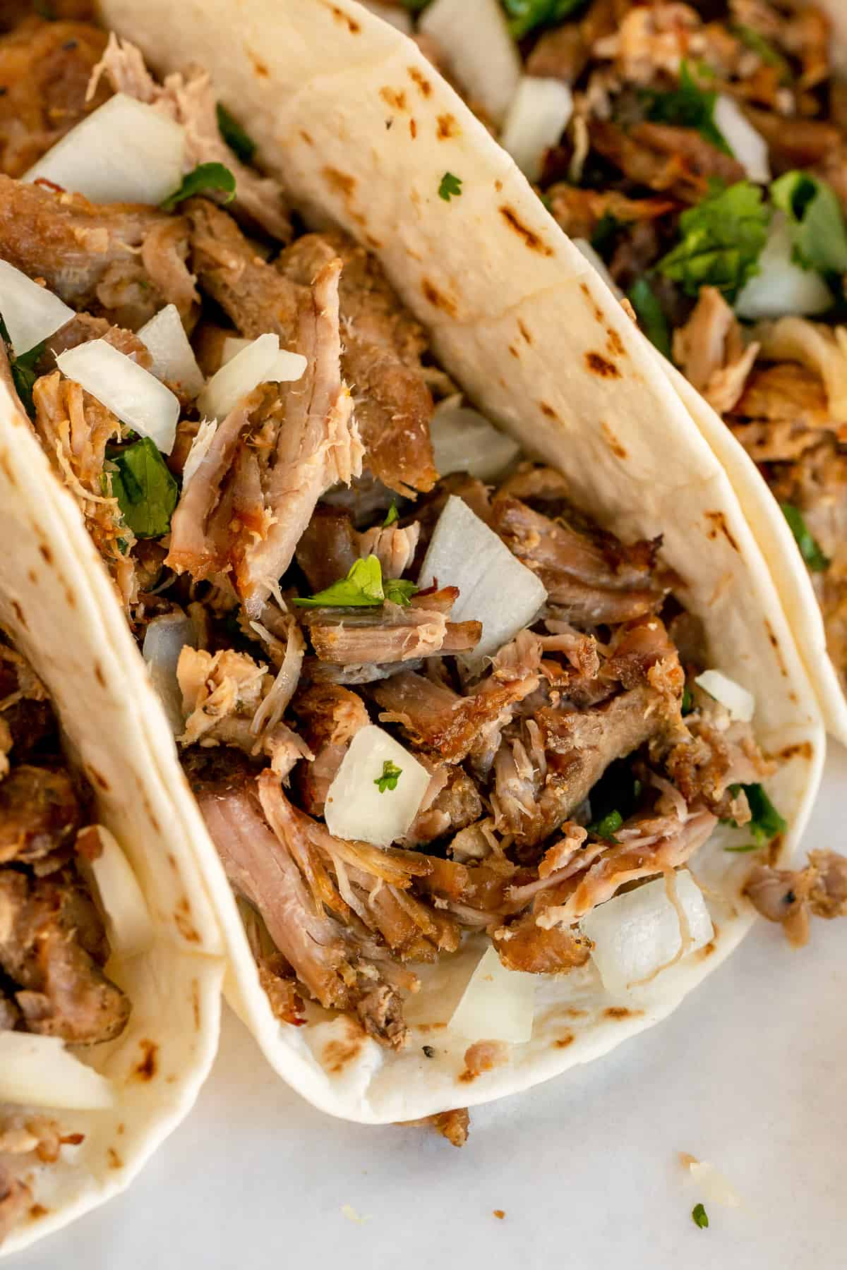 A closeup of a carnitas taco.