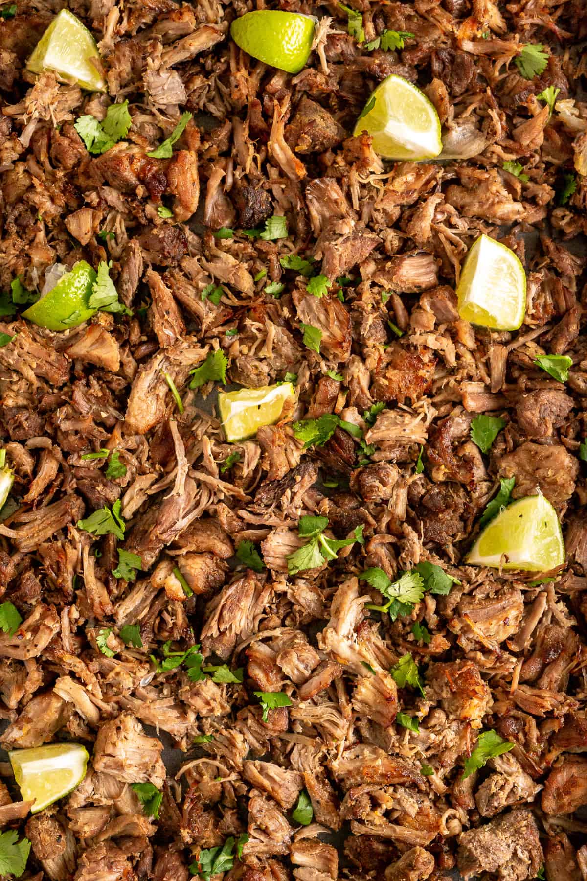 A closeup of pork carnitas with lime.