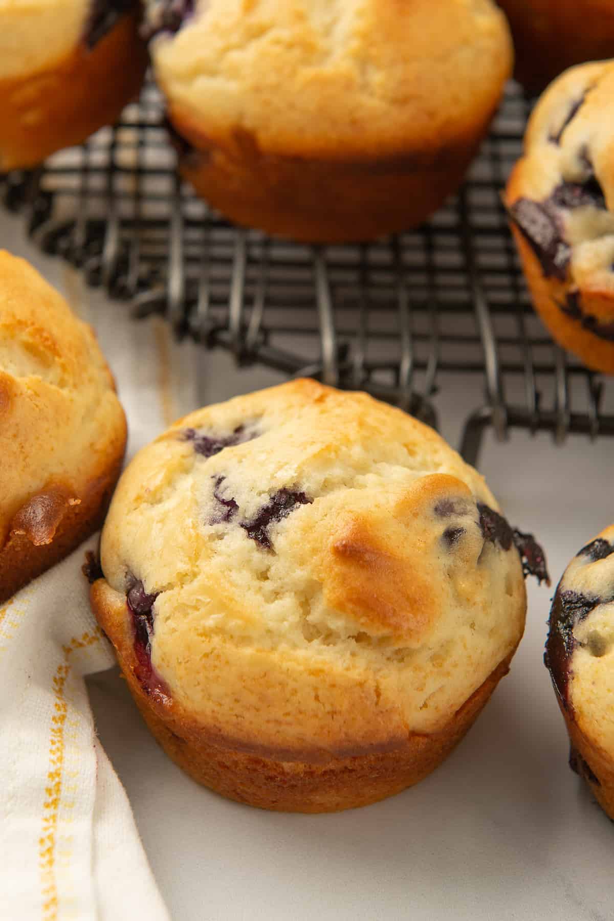 Blueberry muffins cooling on a wire rack.