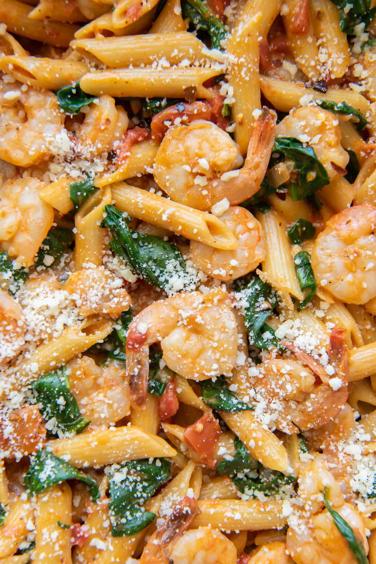A close up of Shrimp and Spinach Pasta with Parmesan cheese.