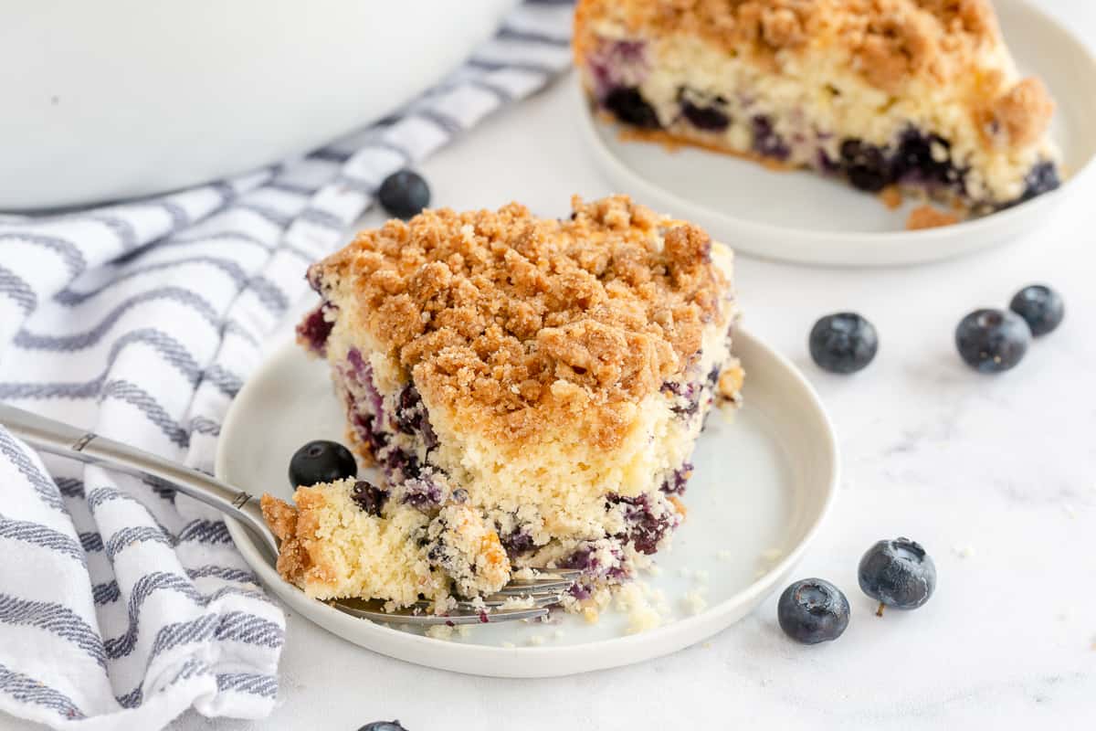 A fork holds a bite of Blueberry Crumb Cake next to a slice on a white plate.