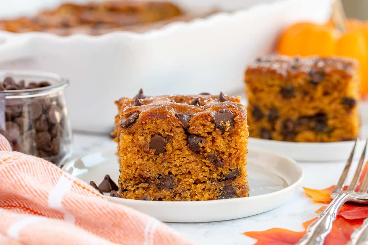 An eye level shot of a slice of pumpkin cake on a white plate.