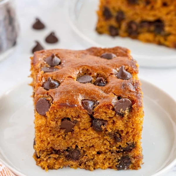 A slice of pumpkin chocolate chip cake on a white plate.