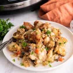 A plate full of stuffing in front of a slow cooker.