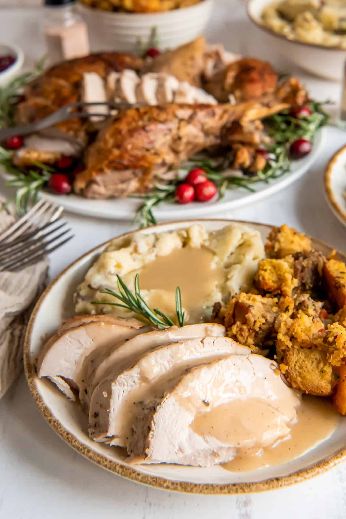 A plate with turkey, mashed potatoes, and gravy.
