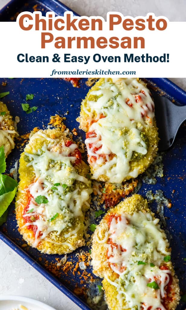 Chicken Pesto Parmesan on a blue baking sheet with overlay text.