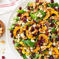 Roasted delicata squash salad in a white bowl with balsamic vinaigrette behind it.