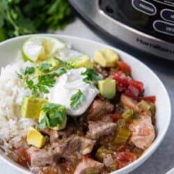 A bowl of chile verde with rice in front of a slow cooker.