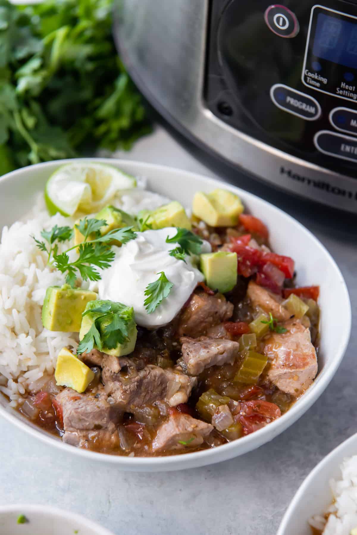 A bowl of chile verde with rice in front of a slow cooker.