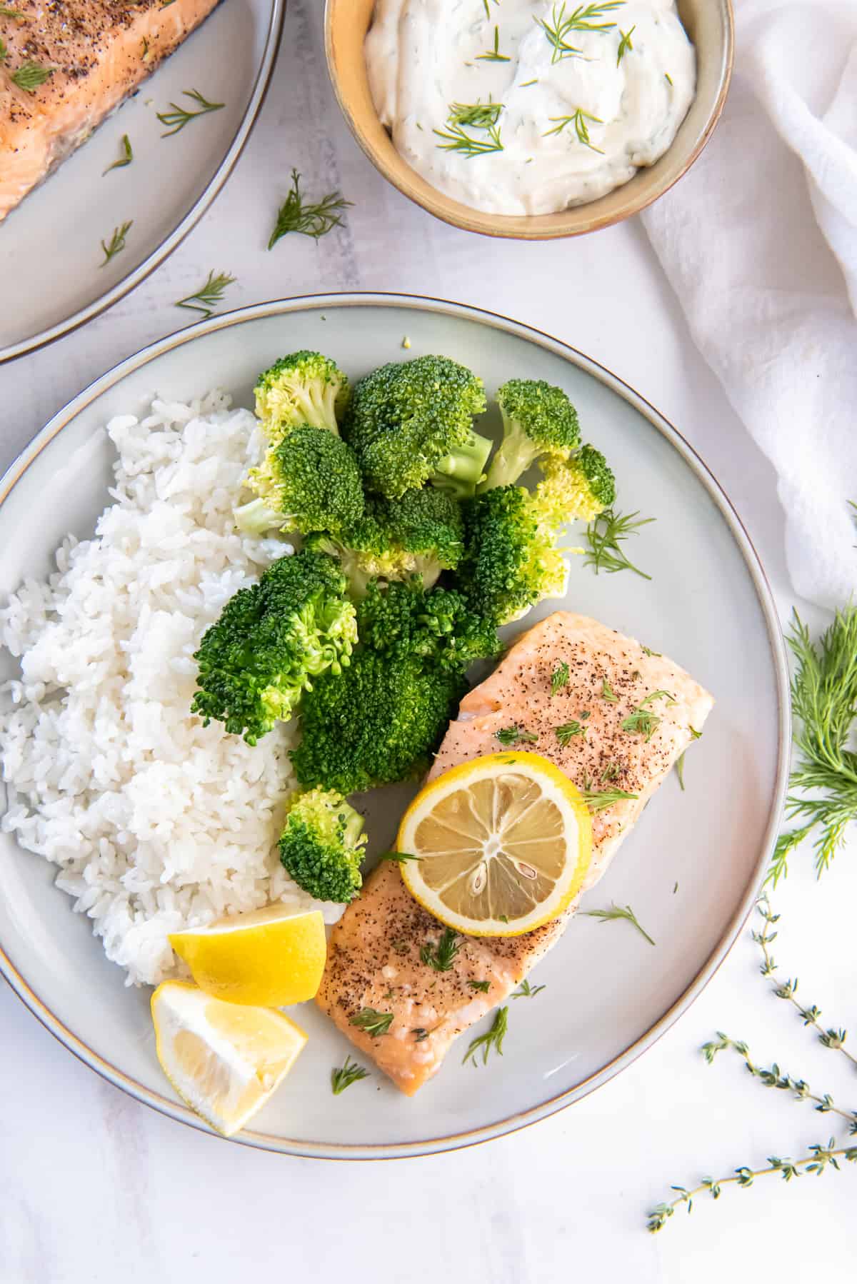 A top down shot of salmon on a plate with rice and broocli.