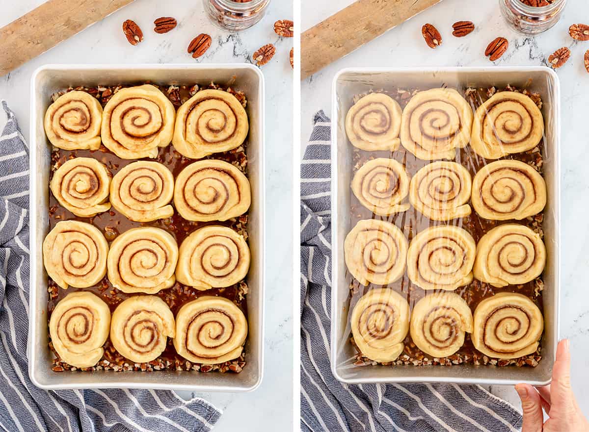 Sticky buns in a baking pan and covered with plastic wrap to refrigerate overnight.