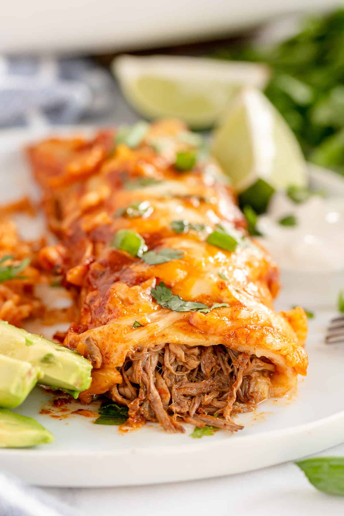 A shredded beef enchilada on a plate with Mexican rice.