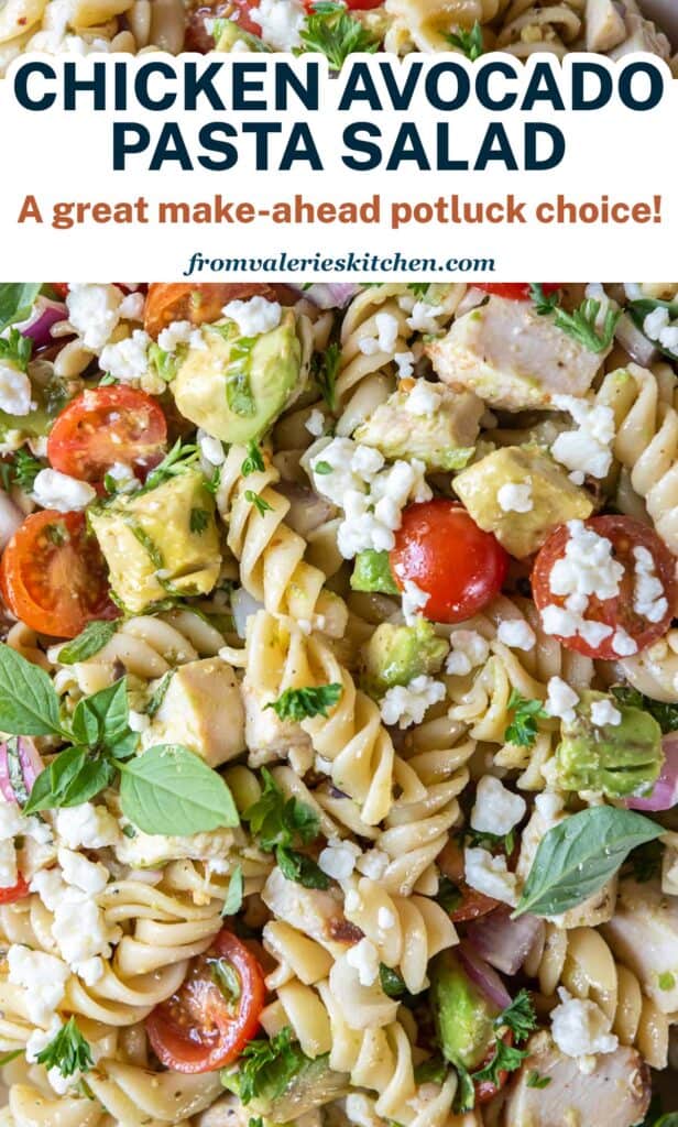 A close up of Chicken Avocado Pasta Salad with text.