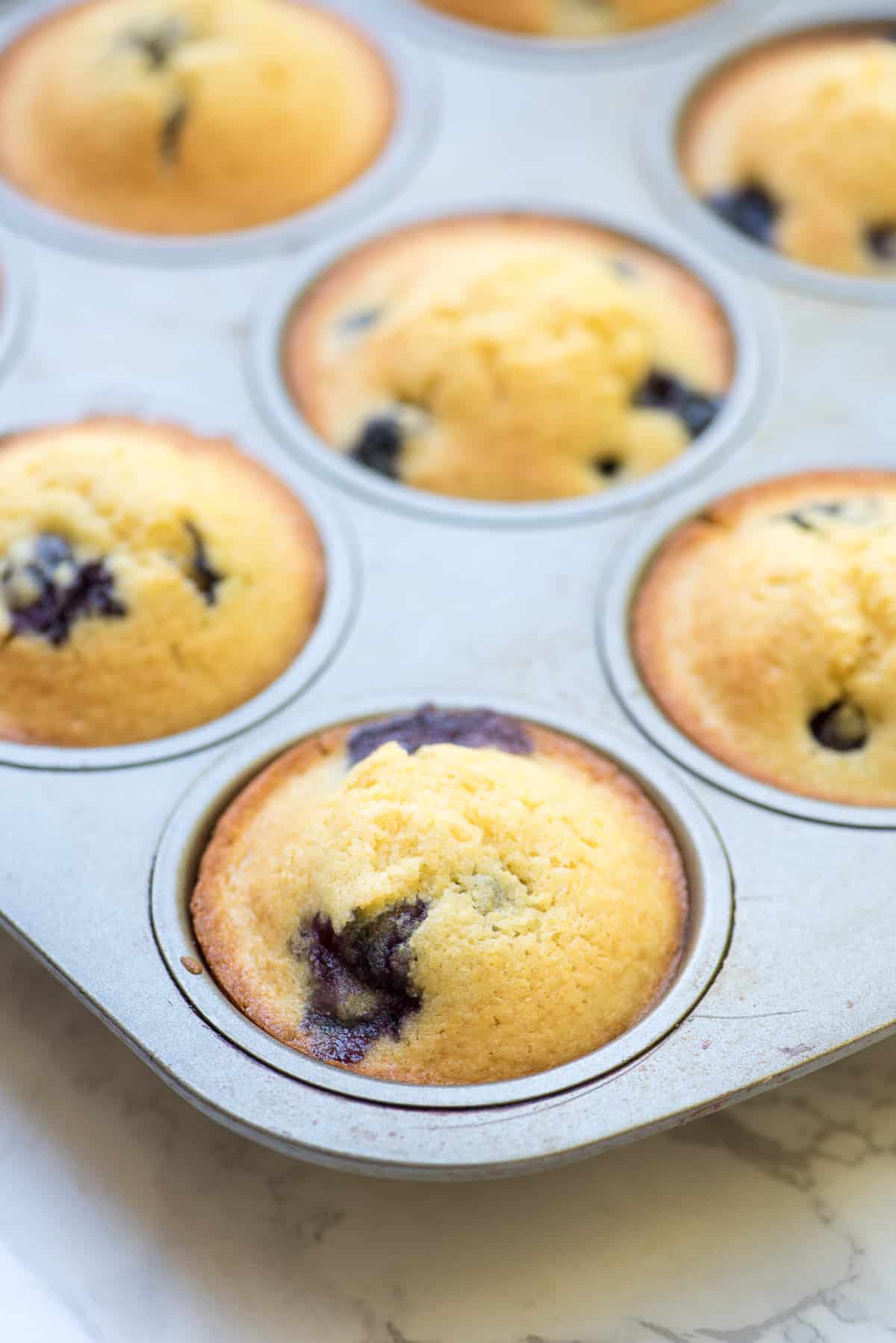 Blueberry cornmeal muffins in a muffin tin.