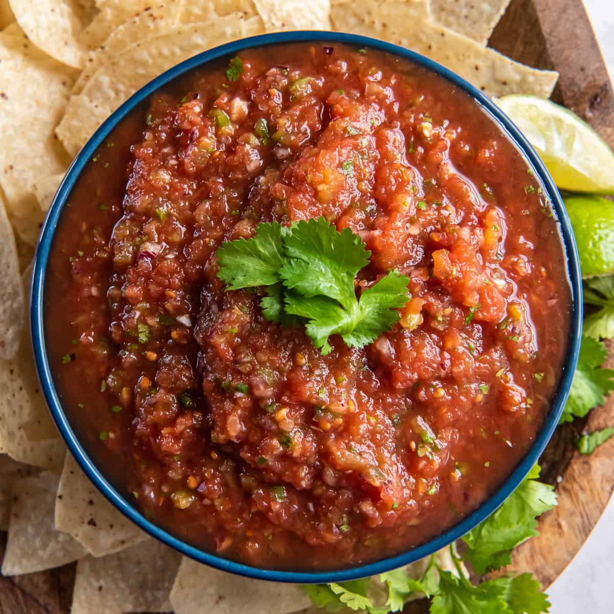 Blender Salsa - The Country Cook