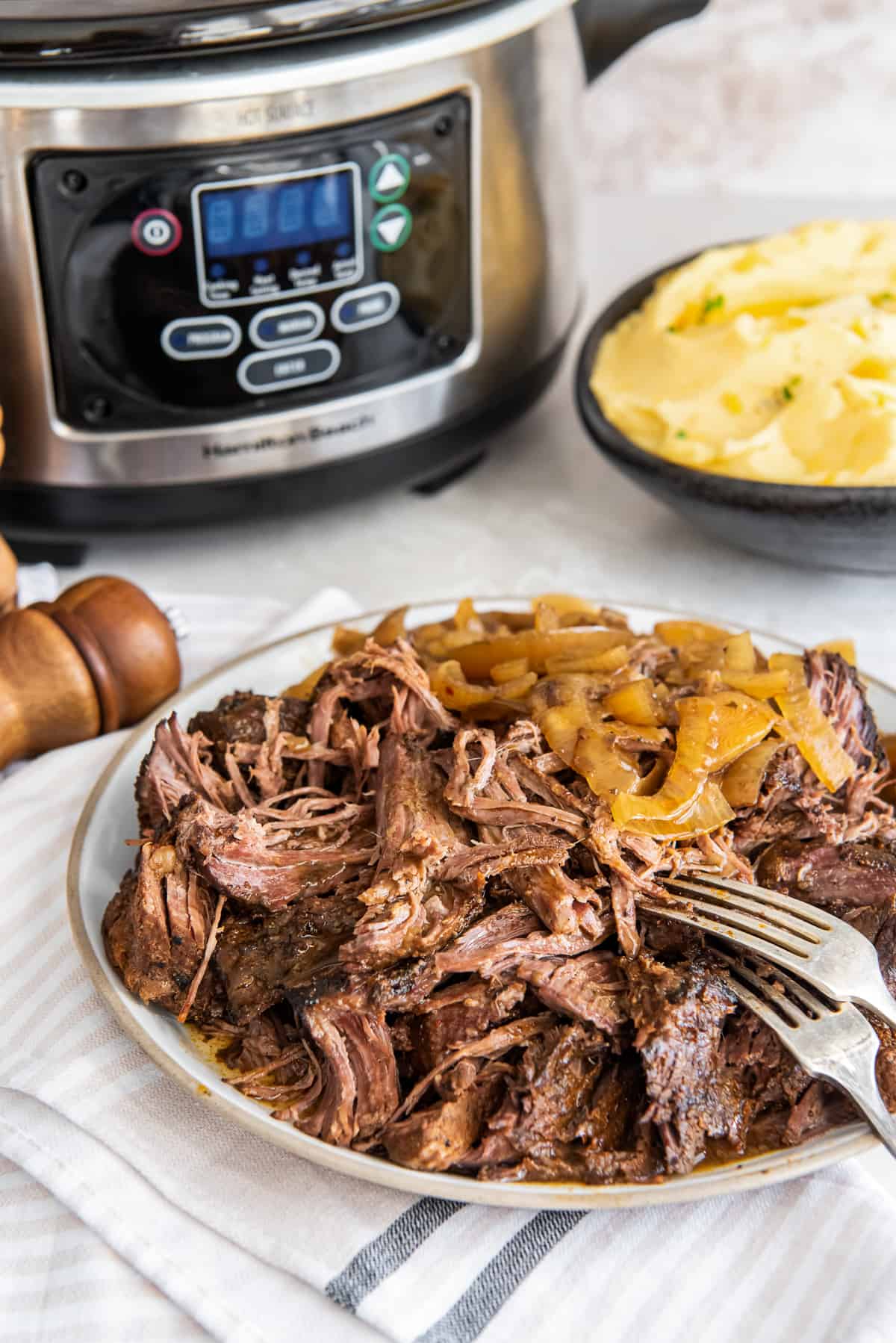 Shredded green chile beef with onions on a plate in front of a slow cooker.