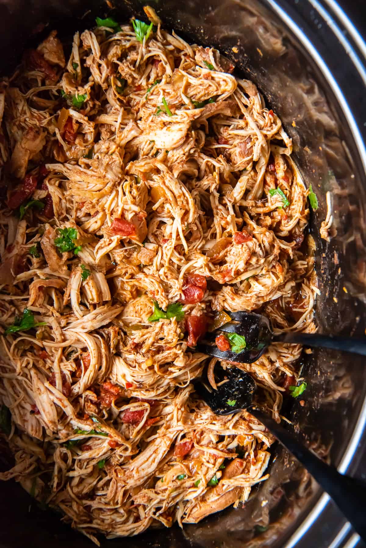 Fork shredding chicken with tomato and cilantro in a crock pot.