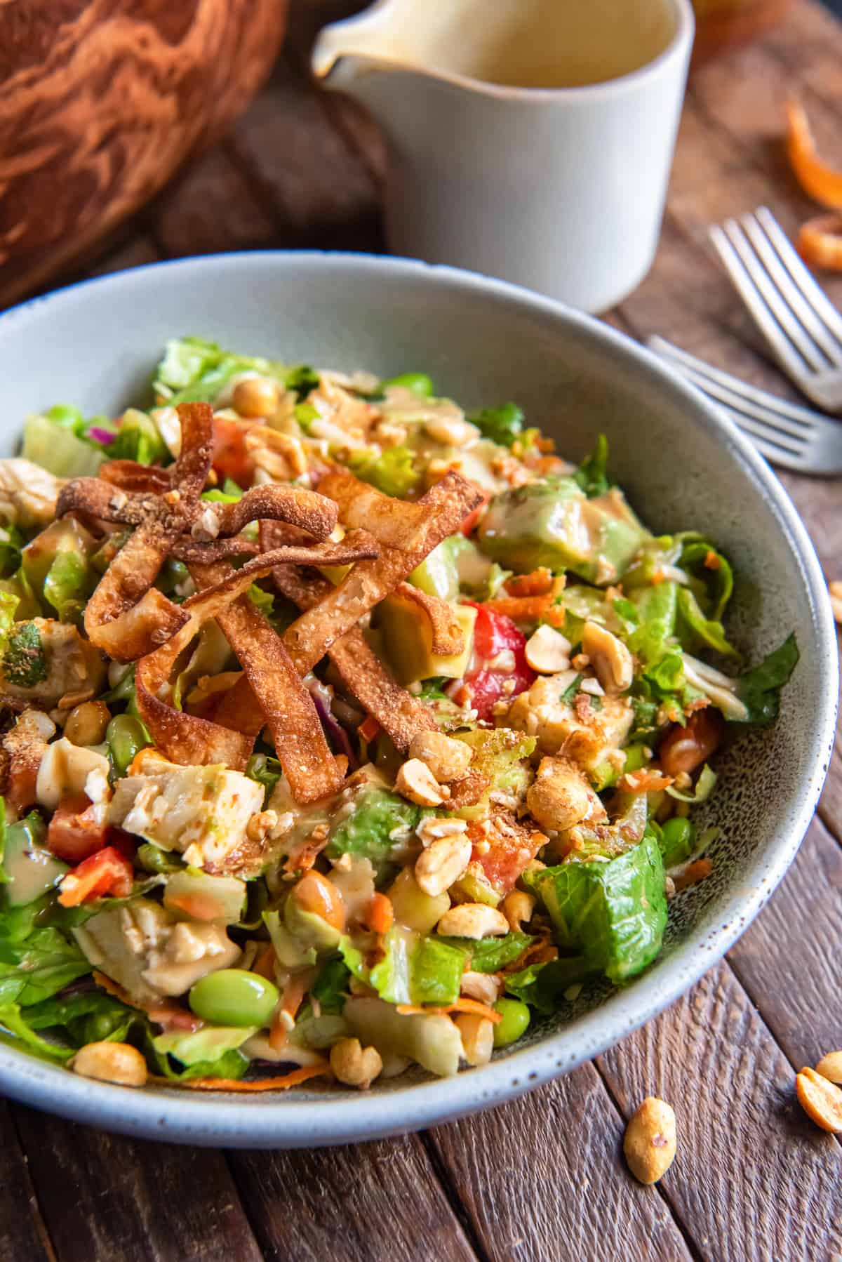 A close up of a thai salad with chicken, edamame, peanut dressing and wonton strips.