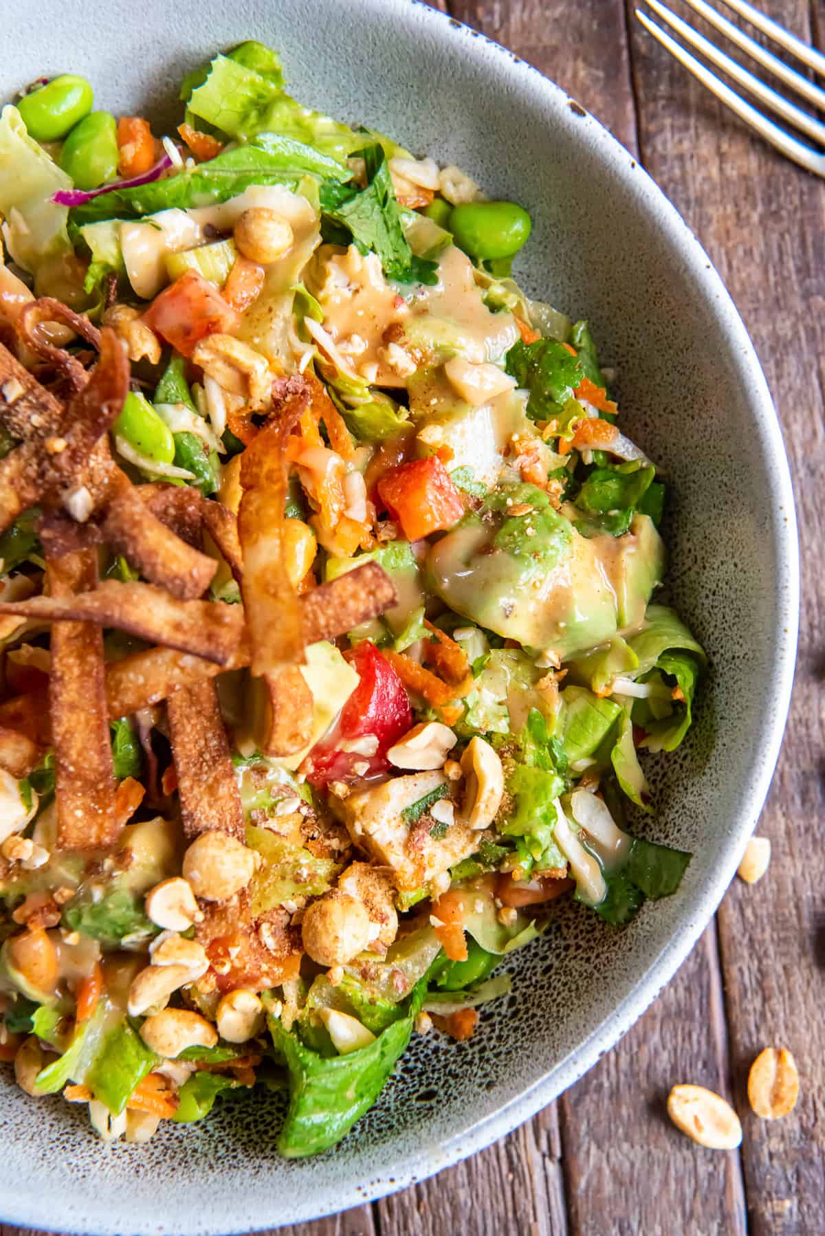 A top down shot of a salad with chicken, edamame, peanut dressing and wonton strips.