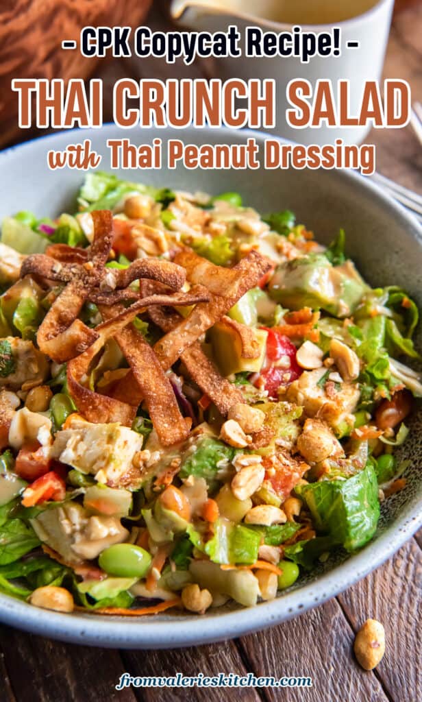 A close up of a thai salad with chicken, edamame, peanut dressing and wonton strips wit text.