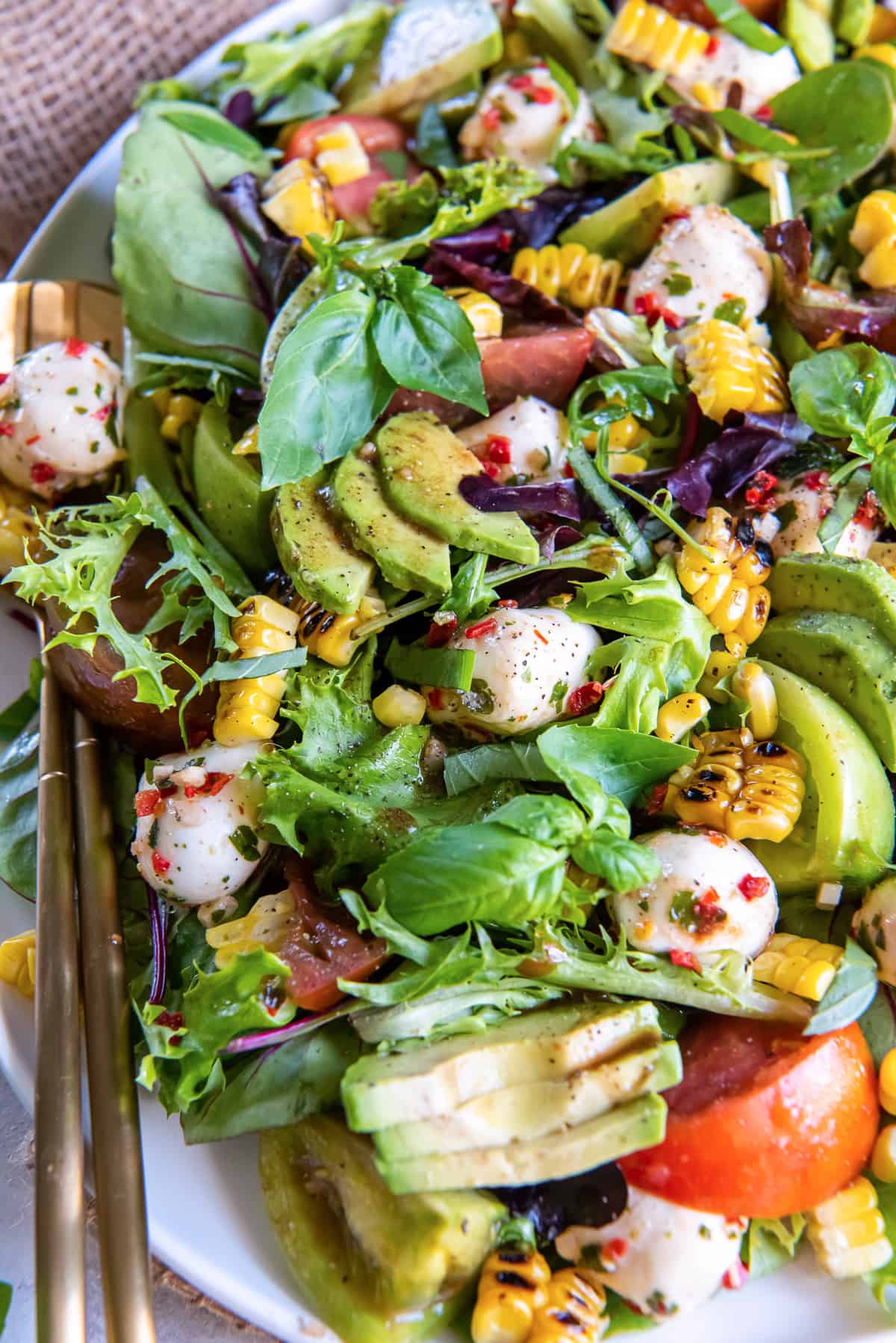 A close up of a salad with tomatoes, marinated mozzarella, avocado, and corn on a bed of greens.