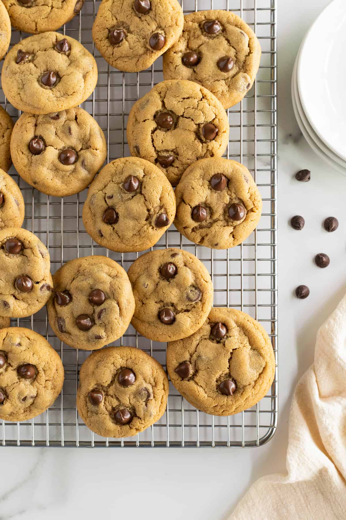 A top down shot of peanut butter cookies with chocolate chips on a wire rack.