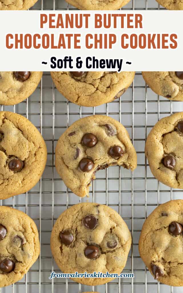 A top down shot of peanut butter cookies with chocolate chips on a wire rack with a bite missing from one with text.