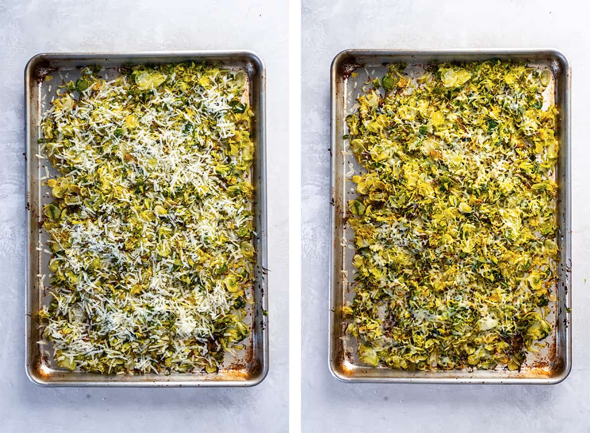 Two images of shredded brussels sprouts topped with shredded Parmesan sheet before and after being roasted.