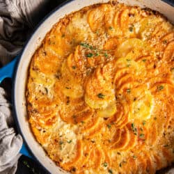 A top down shot of sweet potato gratin topped with fresh thyme in a blue pan.