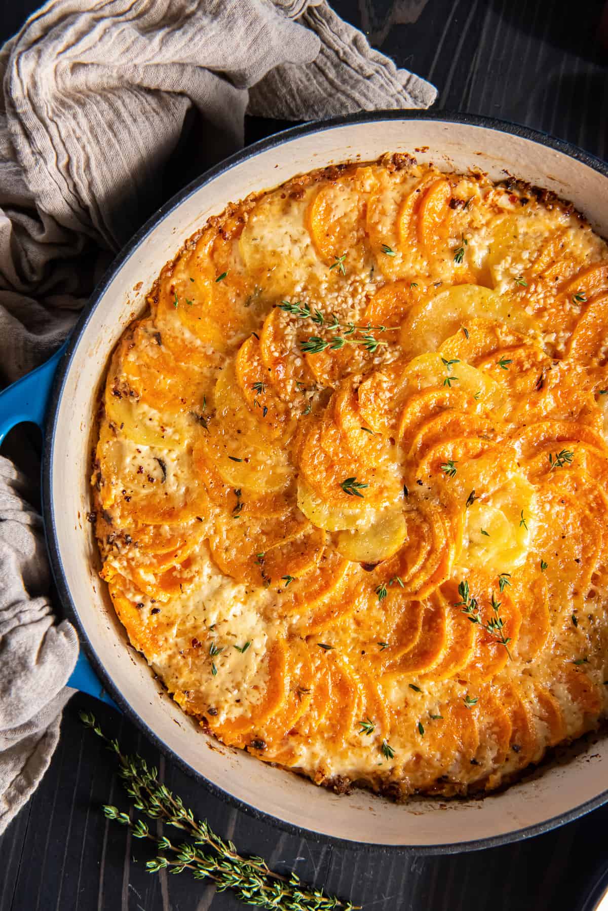 A top down shot of sweet potato gratin topped with fresh thyme in a blue pan.