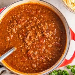 A top down shot of a ladle resting in a pot of homemade spaghetti sauce.