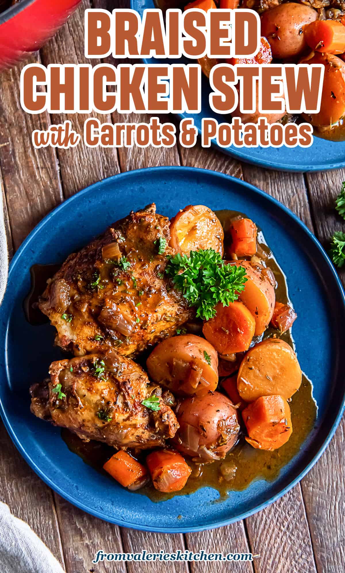 Bra Stew Braised Chicken Stew