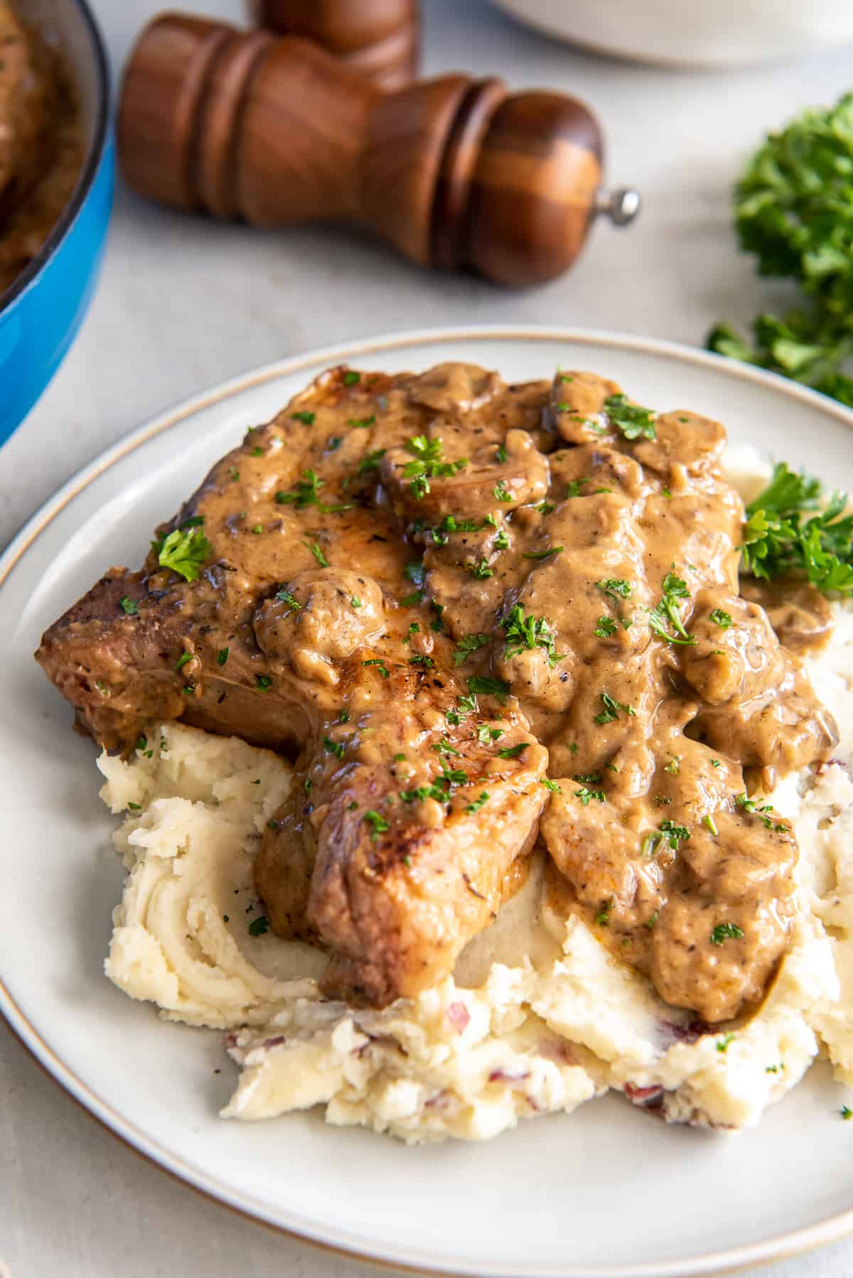 Oven baked pork chops with cream of mushroom soup hotsell