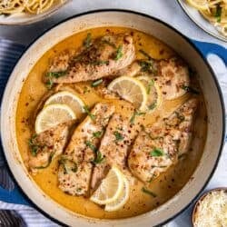 Chicken in a skillet with lemon cream sauce surrounded by bowls of pasta.