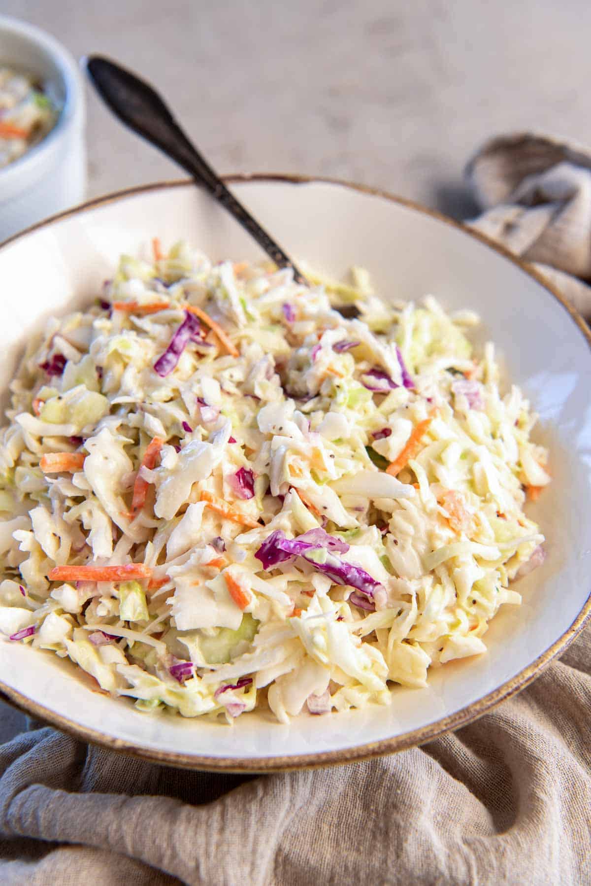 A spoon resting in a bowl of coleslaw.