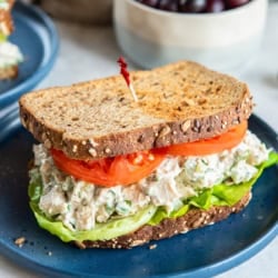 A chicken salad sandwich with lettuce and tomato on a blue plate in front of a bowl of grapes.