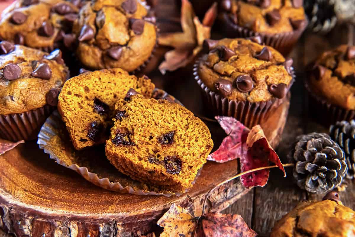 Pumpkin chocolate chip muffin split open to show moist crumb and melted chocolate chips with more muffins in the background.