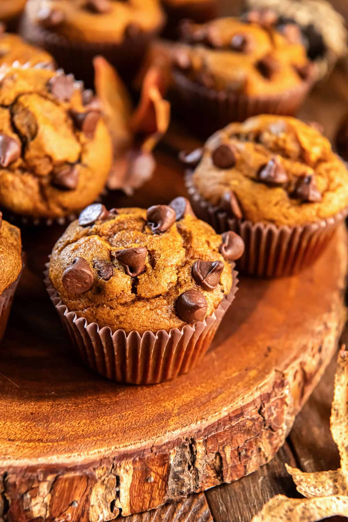 A pumpkin chocolate chip muffin on a wooden slice, topped with chocolate chips, with more muffins softly blurred in the background.