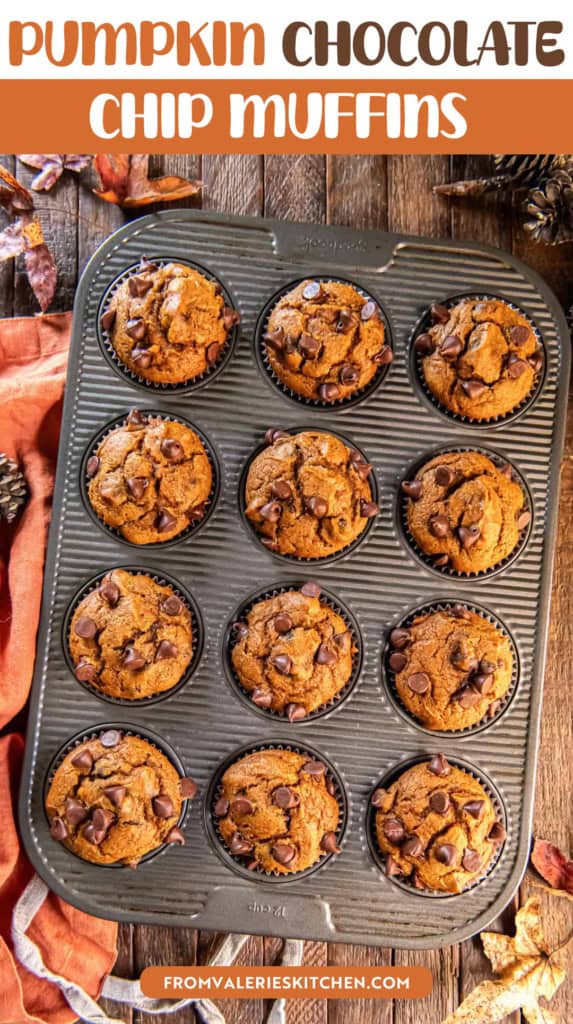 Pumpkin chocolate chip muffins in a muffin pan surrounded by fall leaves and an orange apron with text overlay.