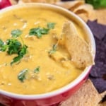 A tortilla chip resting in a bowl of chicken queso dip.