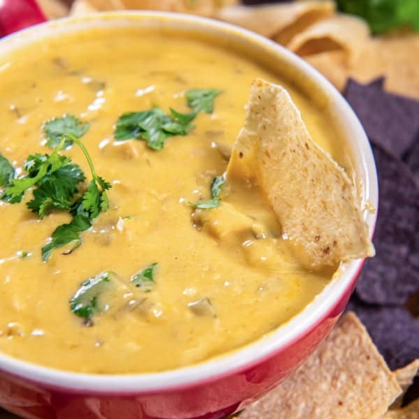 A tortilla chip resting in a bowl of chicken queso dip.