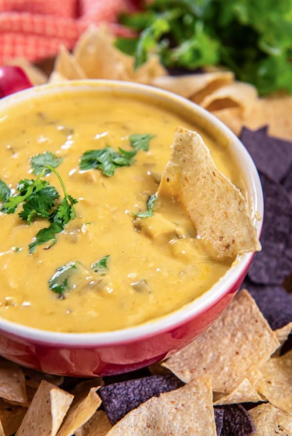 A tortilla chip resting in a bowl of chicken queso dip.