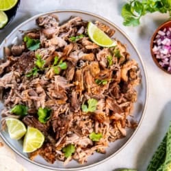 Shredded pork carnitas on round platter with lime wedges next to a small bowl of diced red onion.