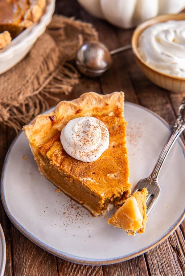 Slice of Hazelnut Pumpkin Pie topped with whipped cream and sprinkled with cinnamon, with a forkful ready to eat on a rustic plate.