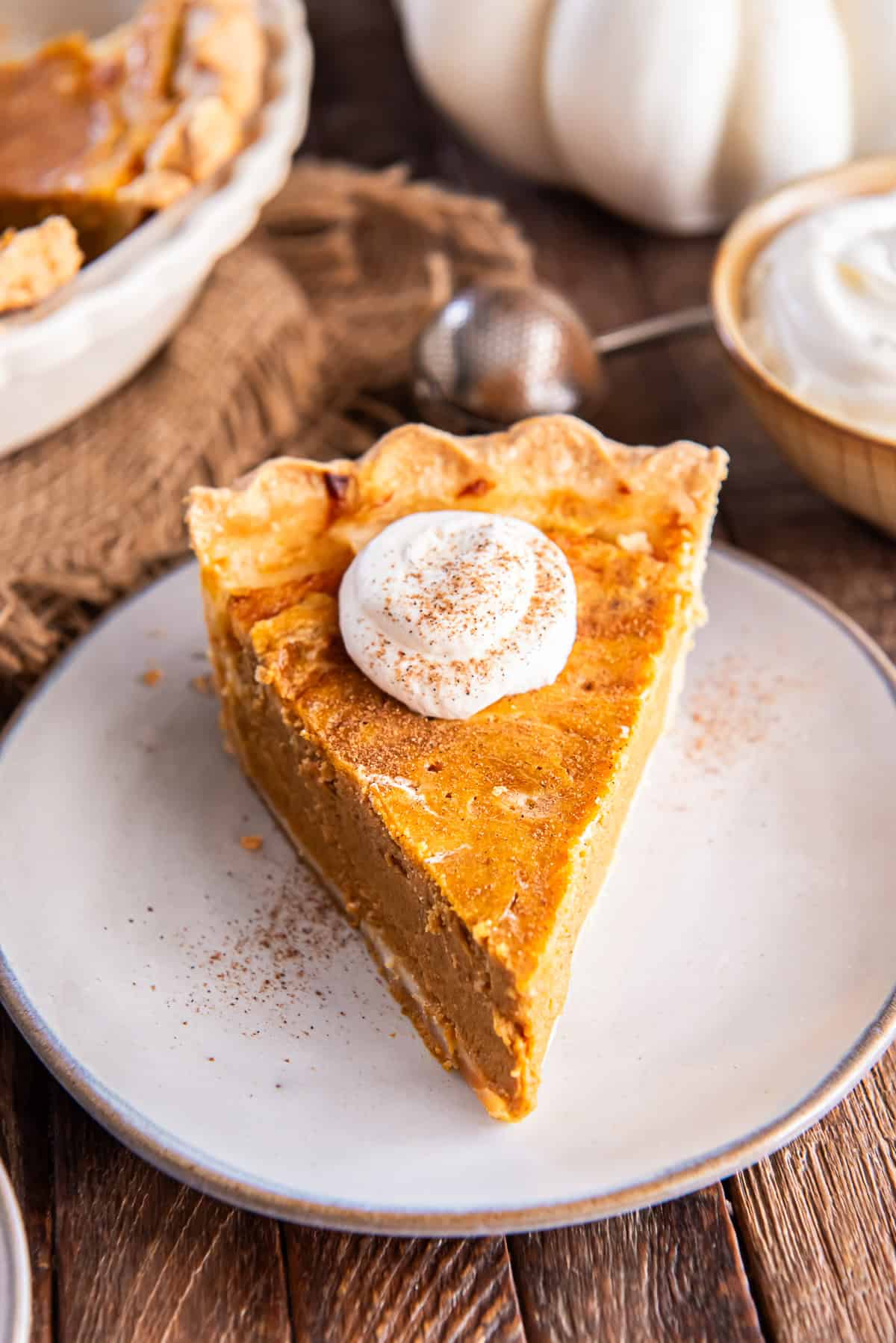 Slice of Hazelnut Pumpkin Pie topped with whipped cream and a dusting of cinnamon on a white plate, with a rustic fall background.