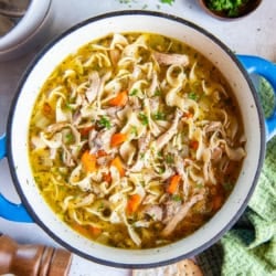 Homemade chicken noodle soup in a blue Dutch oven with egg noodles, shredded chicken, carrots, celery, and herbs, with crackers and fresh parsley nearby.